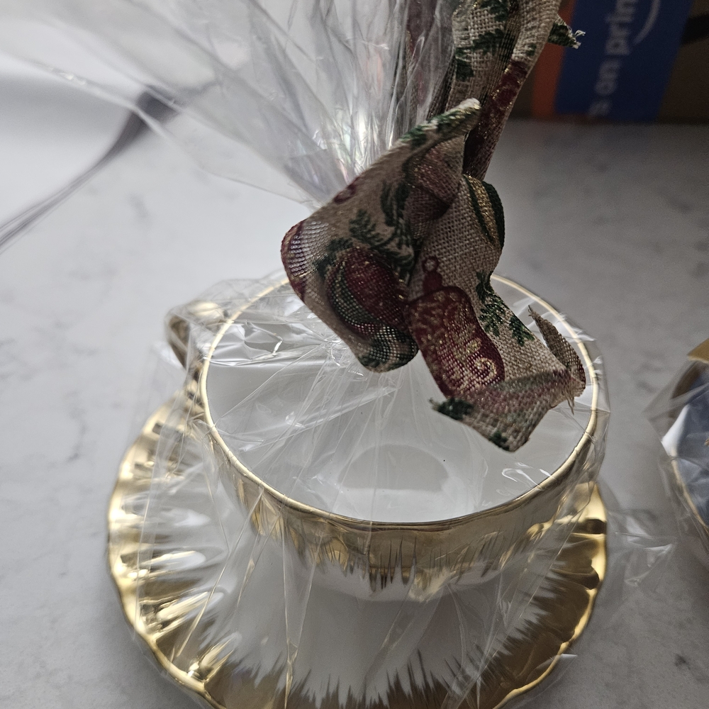 Gold Trimmed Teacup and Saucer Set
